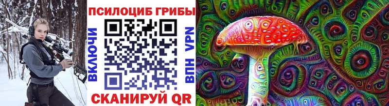 купить наркотики сайты  Орёл  Галлюциногенные грибы Psilocybe 